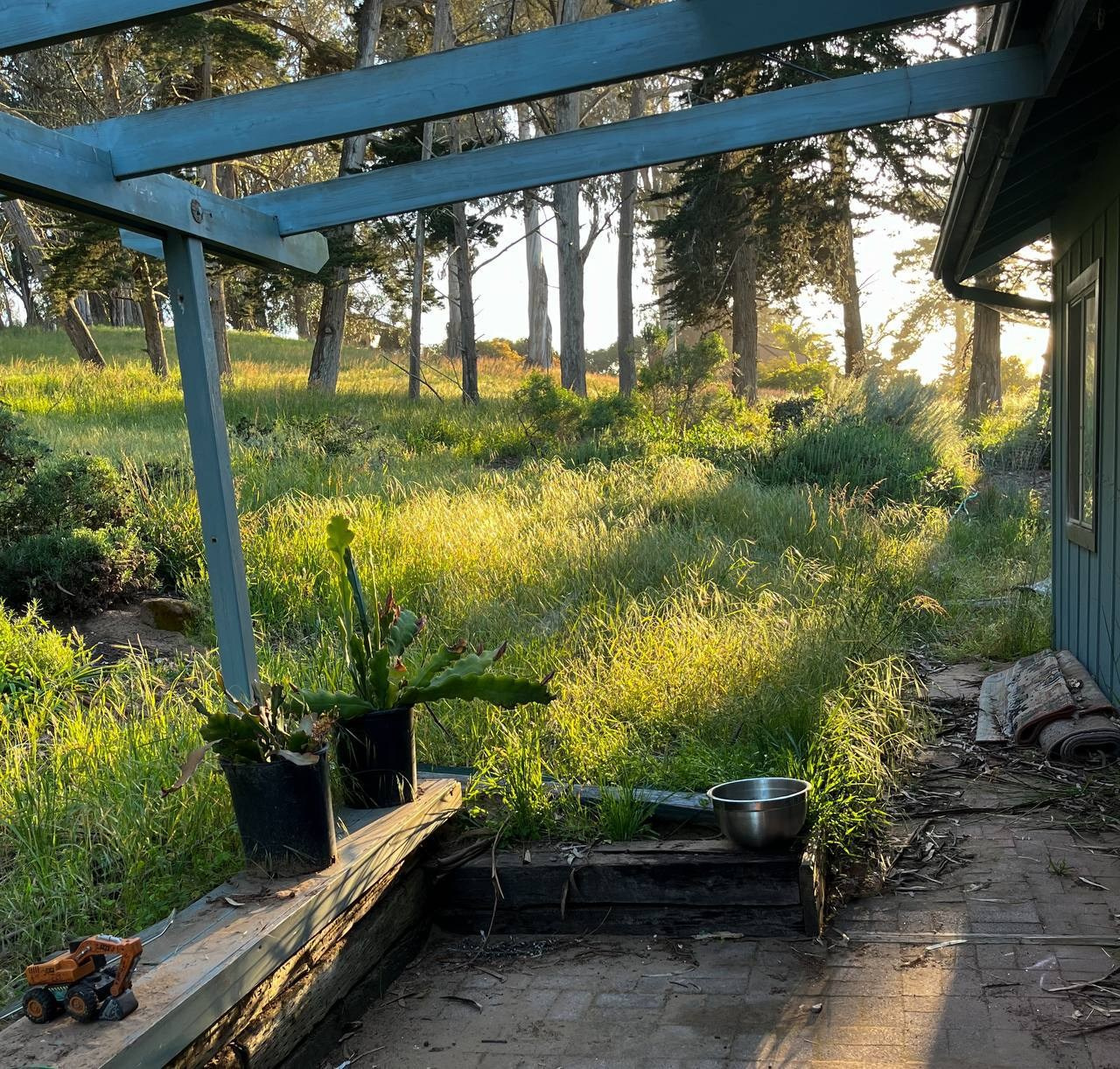 МАРАФОН ФОКУС НА ПРЕКРАСНОМ. Фотограф Анастасия Дмитриева