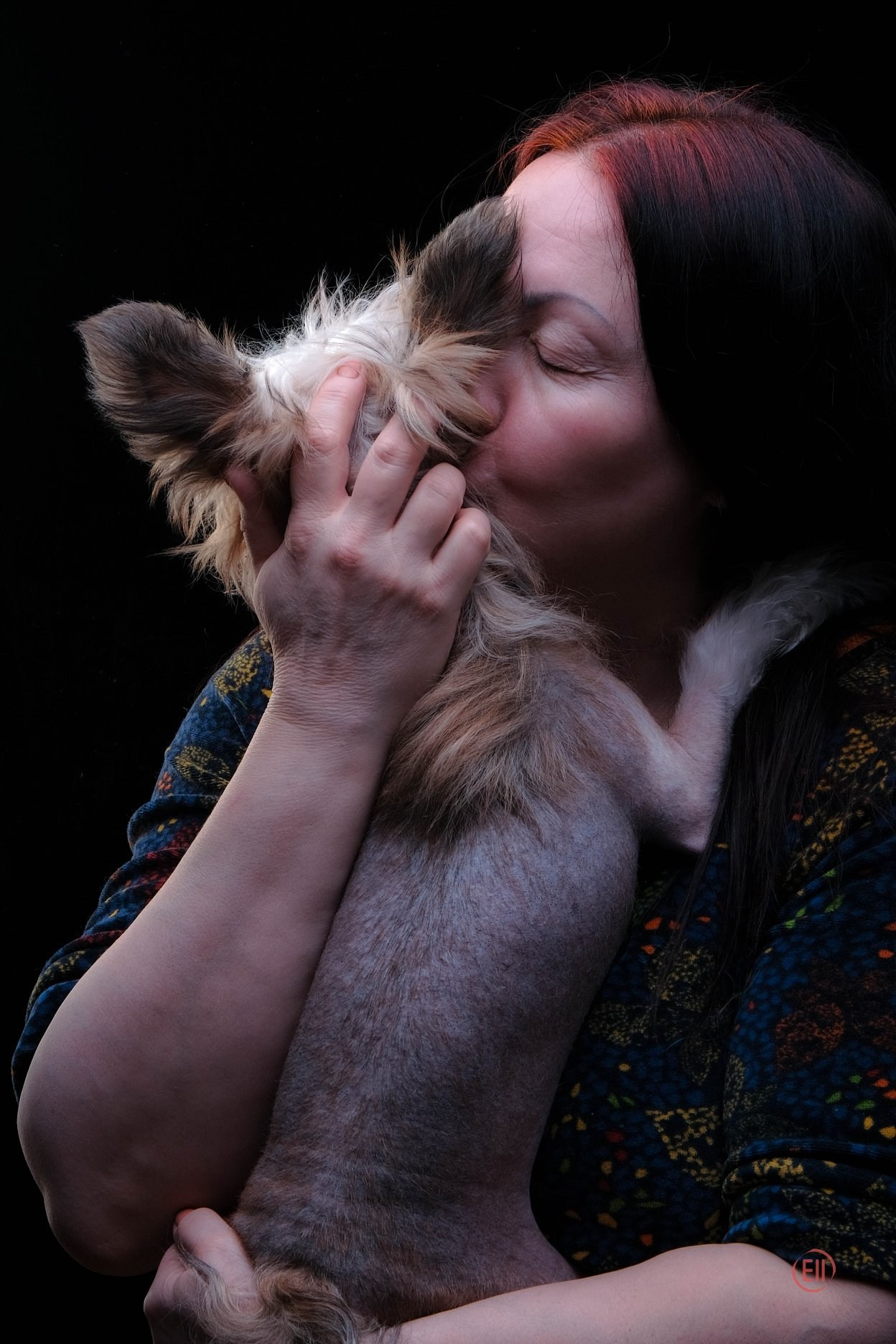 Poale Ell Chester. Питомник китайских хохлатых собак Poale Ell: купить щенка