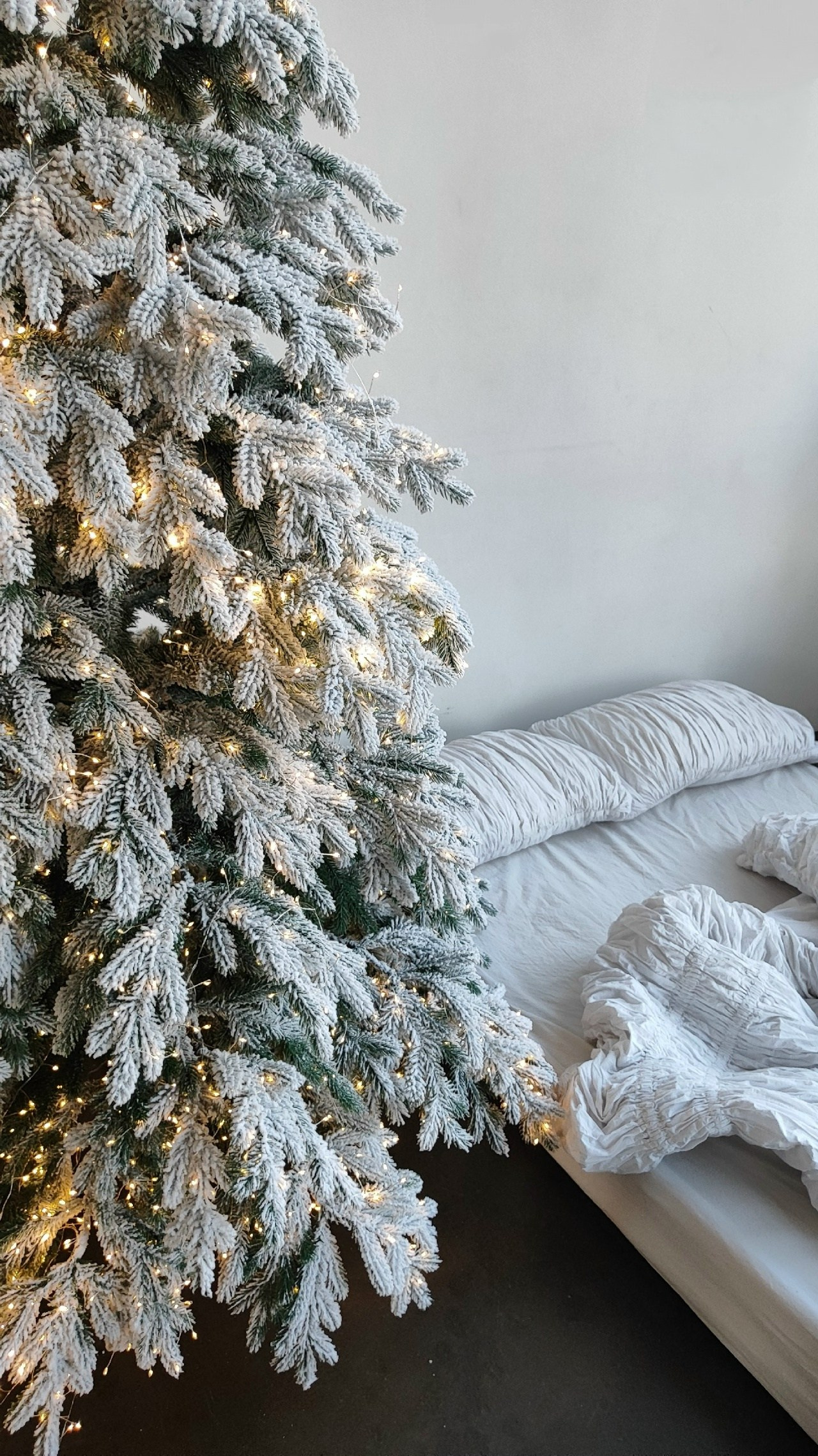 Новогодние залы. Семейный и женский фотограф в Воронеже Ольга Попова