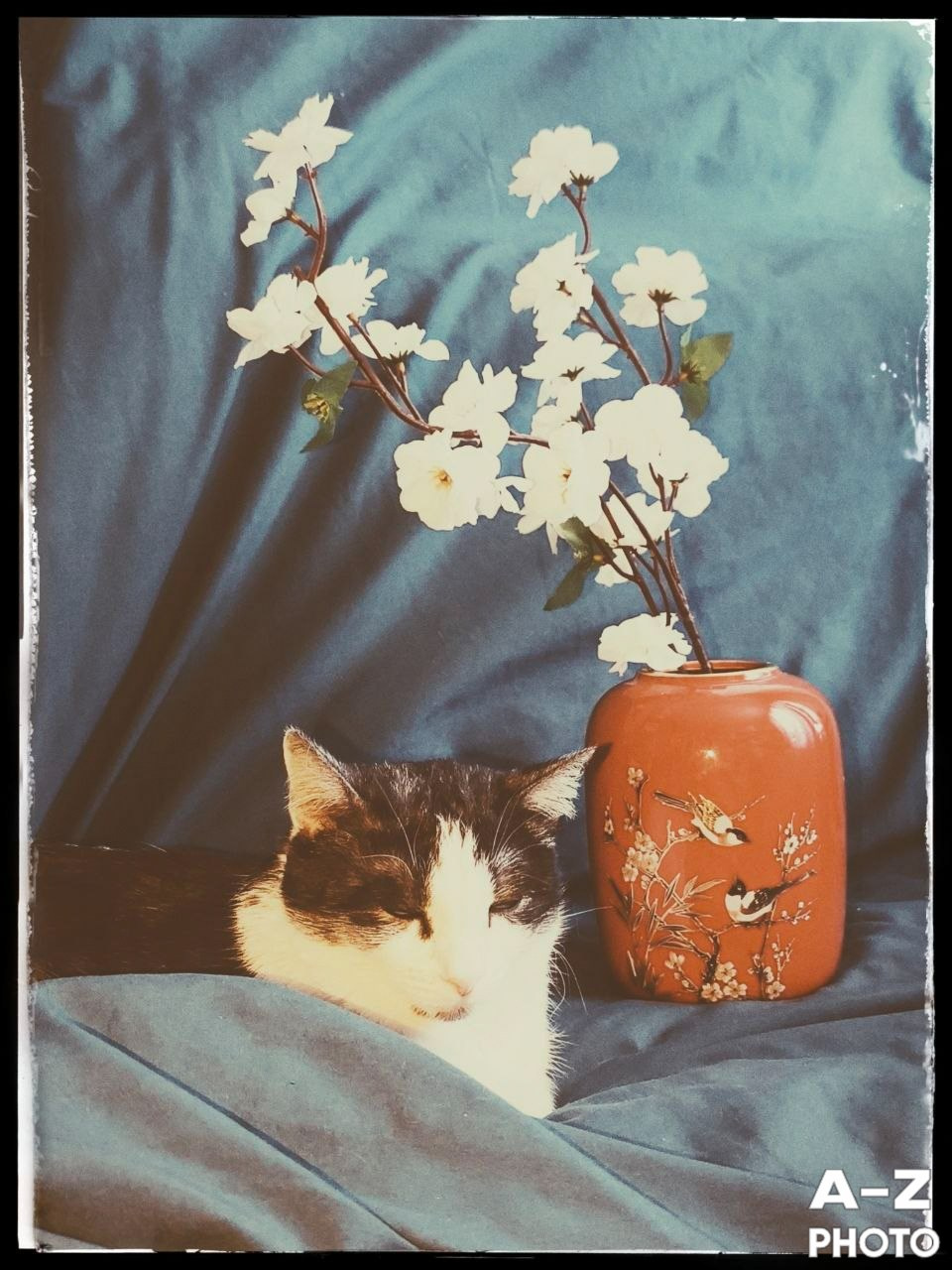 #ФОТОНЕДЕЛИ 06.04.2026. Женский семейный фотограф Тула Москва Захарова Анна