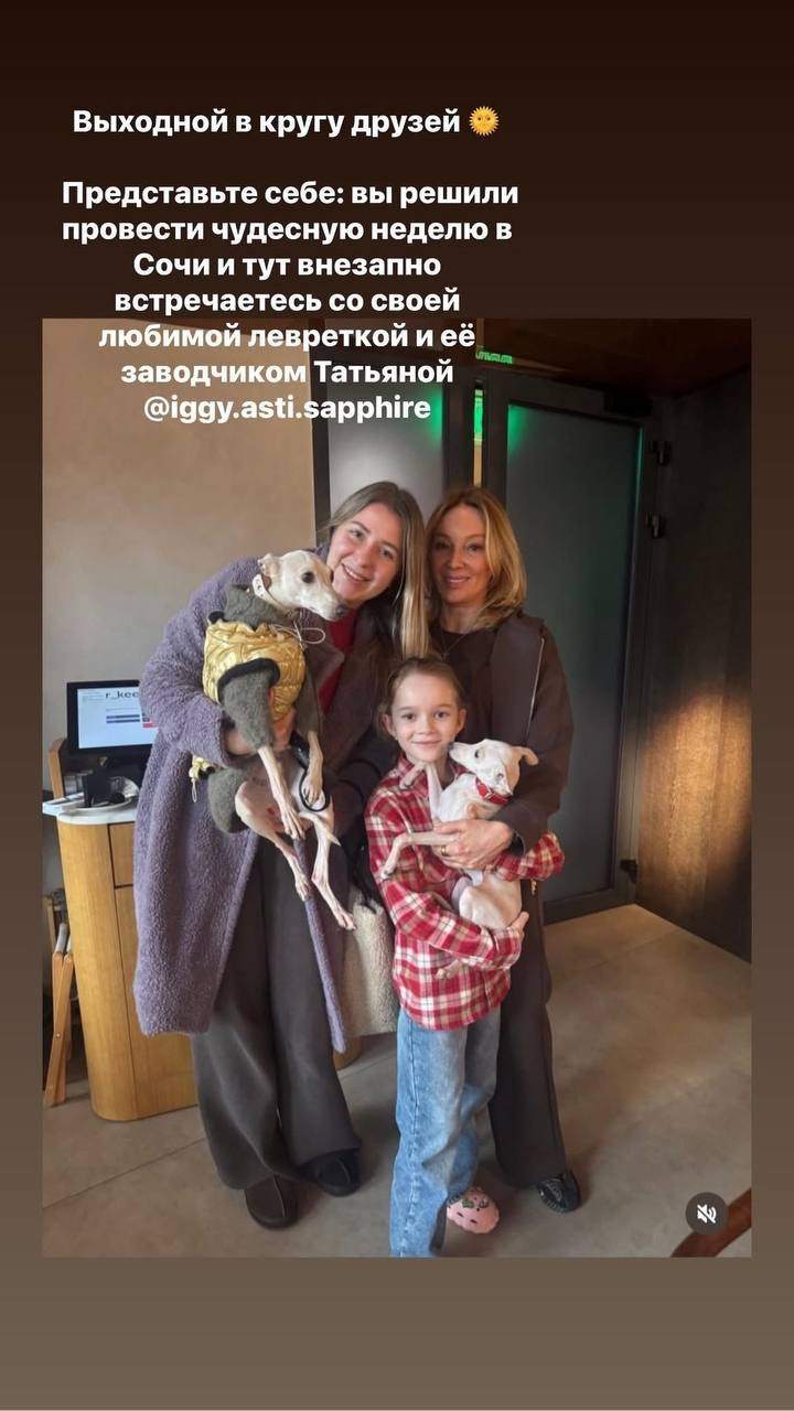 Итоги февраля. Профессиональный питомник левреток РКФ/FCI ASTI SAPPHIRE 💎 Сочи|Санкт-Петербург