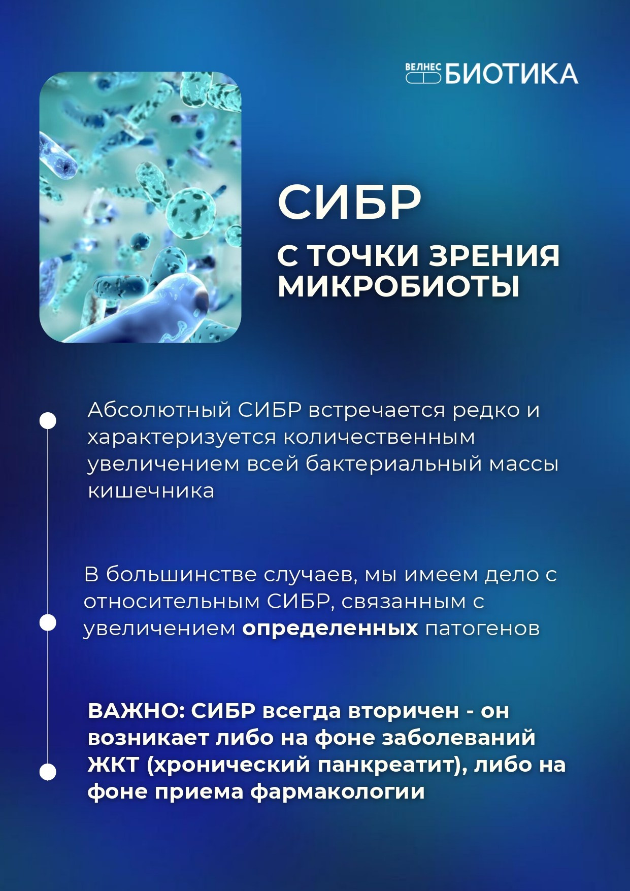 ВедаБиотика. Медицина с душой