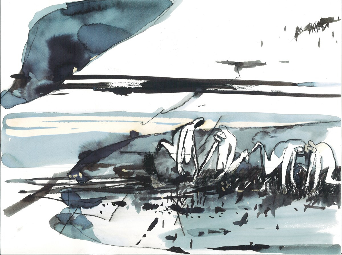 Graphics. Янина болдырева Yanina Boldyreva