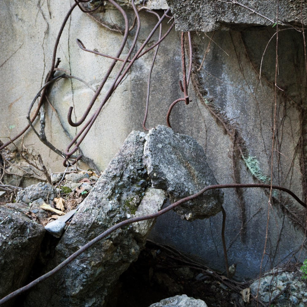 INTERVIEW WITH THE ARTIST: YOSHIKATSU FUJII. Самоорганизация Низина