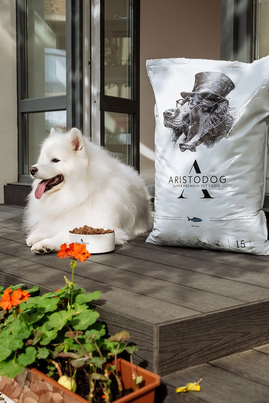 ARISTODOG. Фотограф и видеограф Анна Жагорина