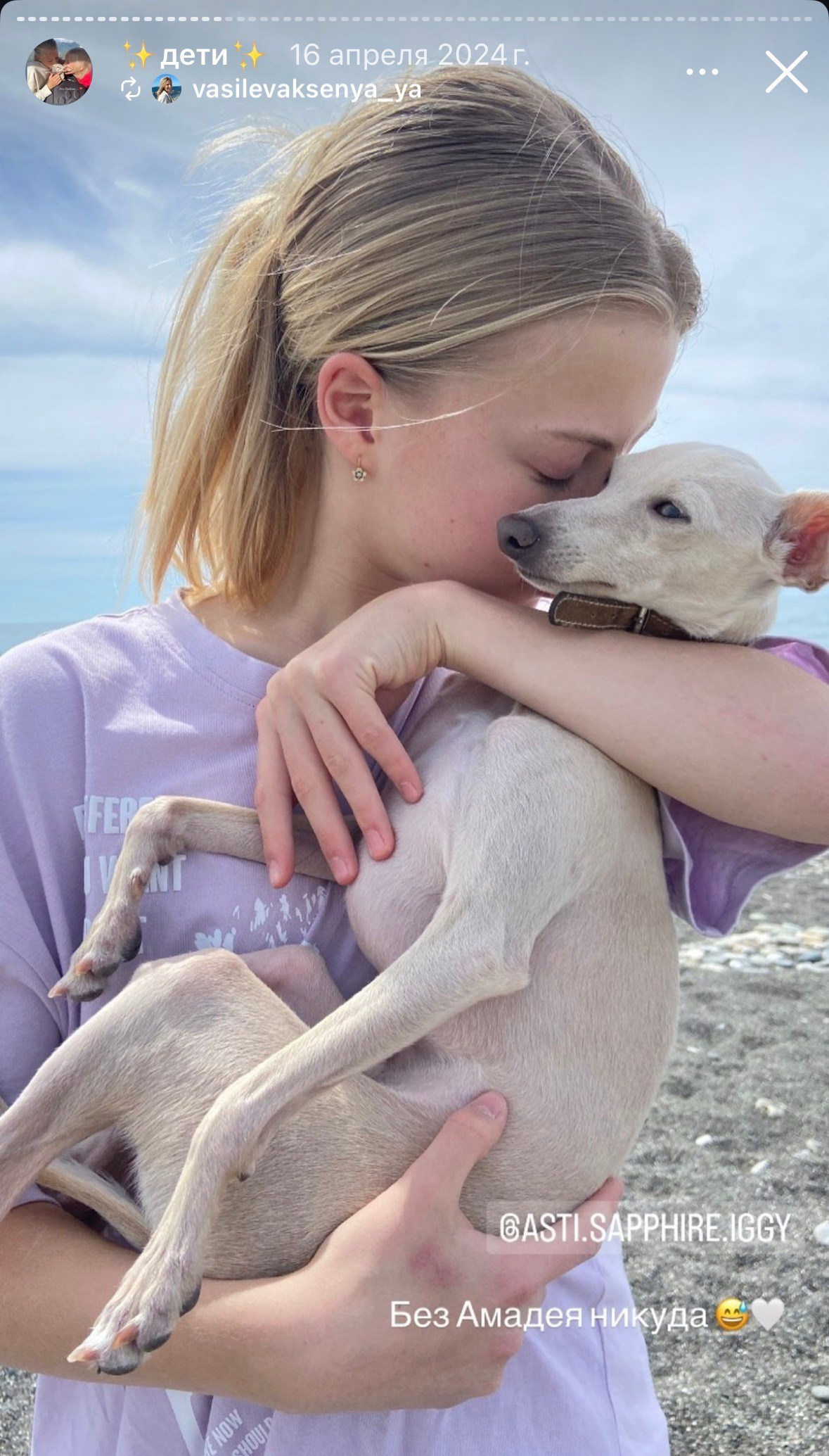 Левретка и ребенок: нежная дружба. Профессиональный питомник левреток РКФ/FCI ASTI SAPPHIRE 💎 Сочи|Санкт-Петербург