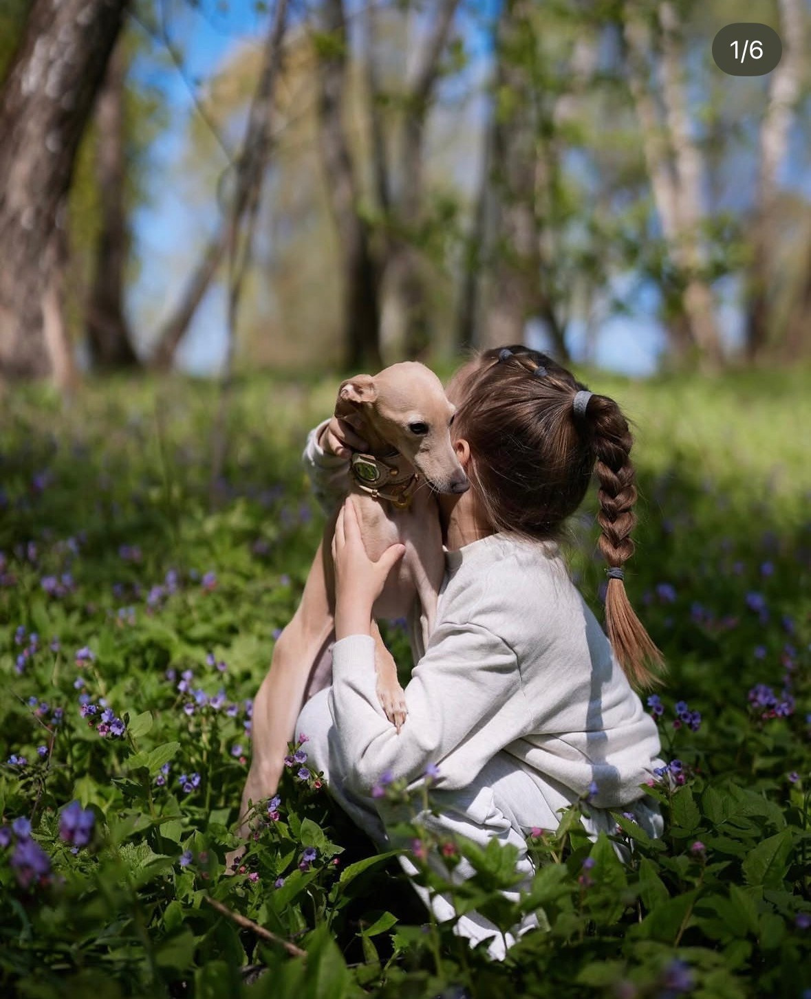Левретка и ребенок: нежная дружба. Профессиональный питомник левреток РКФ/FCI ASTI SAPPHIRE 💎 Сочи|Санкт-Петербург