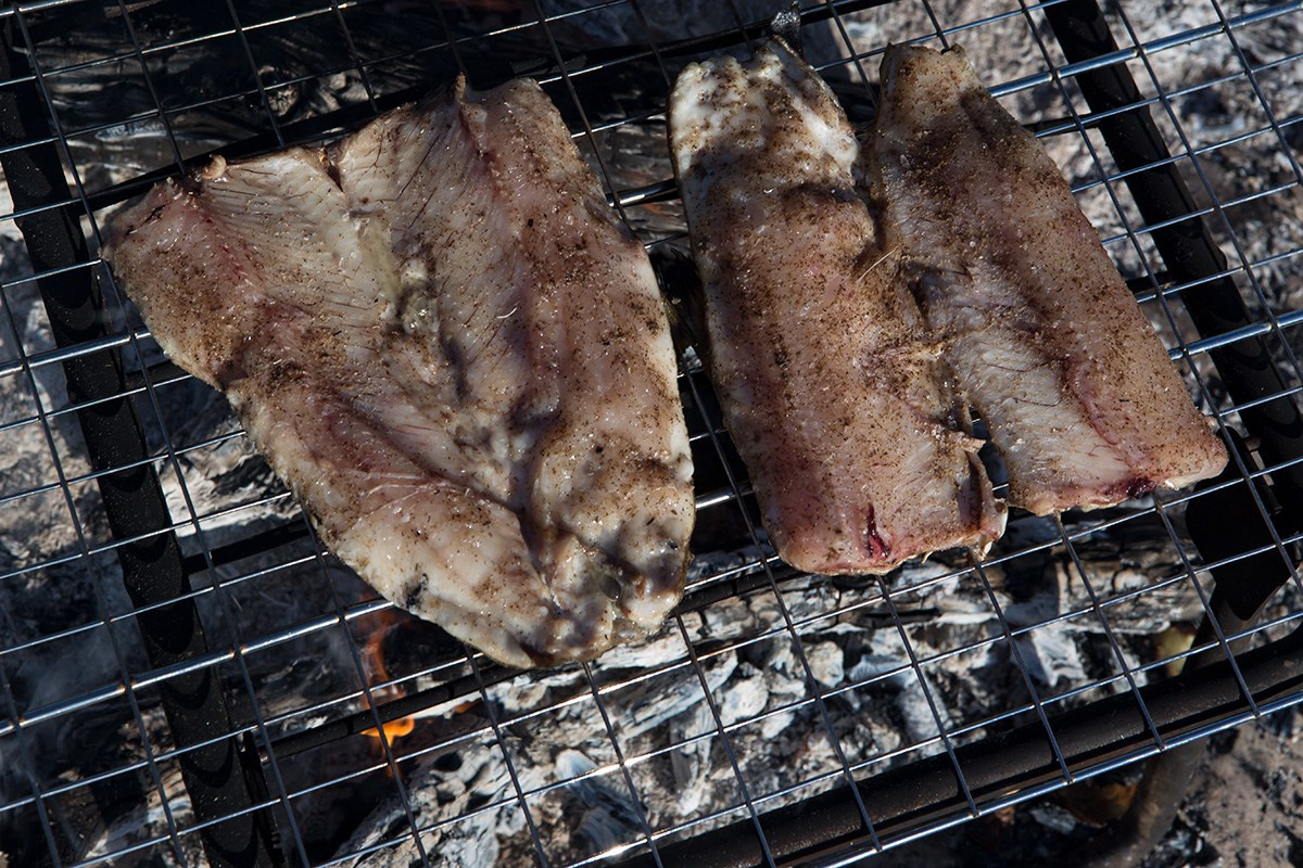 Рыболовный тур на Оленёк