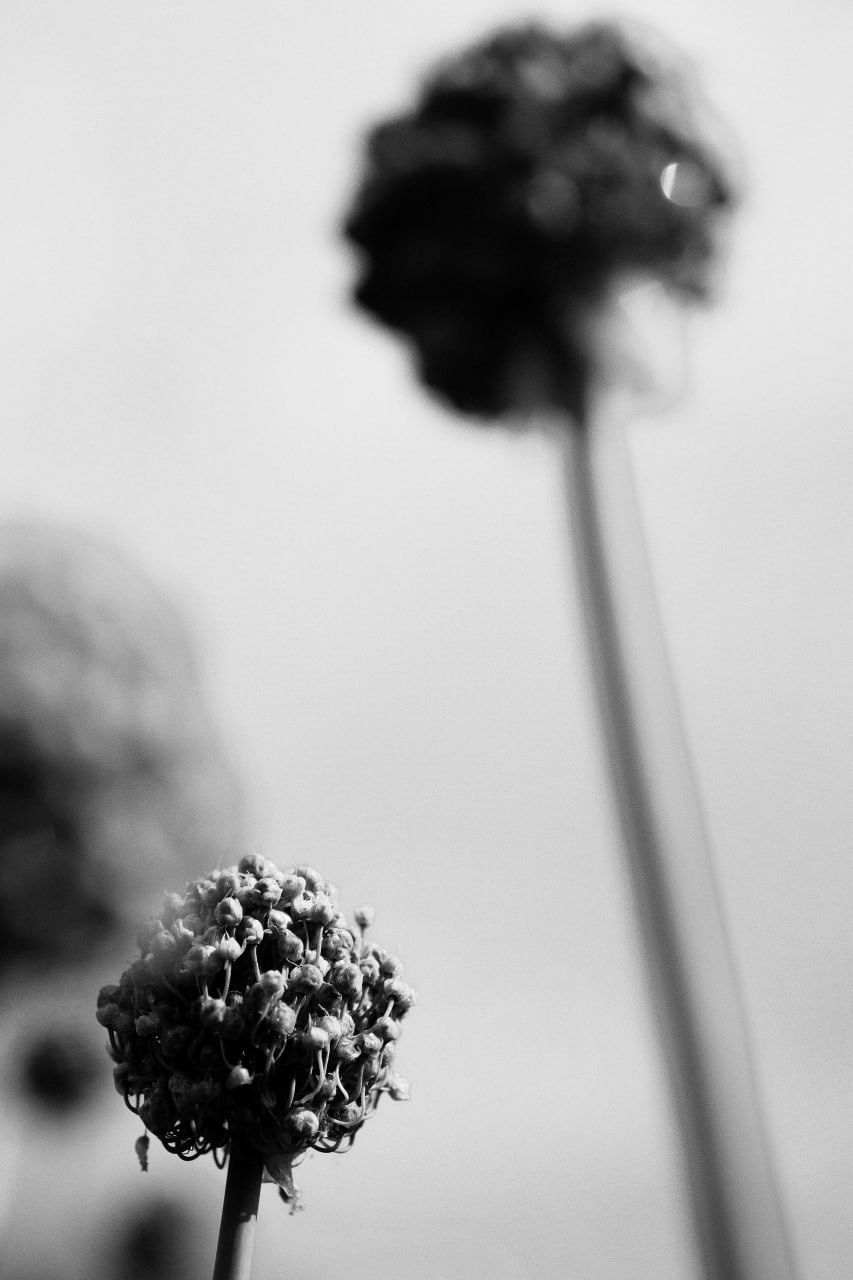 Фотолагерь для фотографов и не только. ARTDARY | Фотограф Дарья Грицай