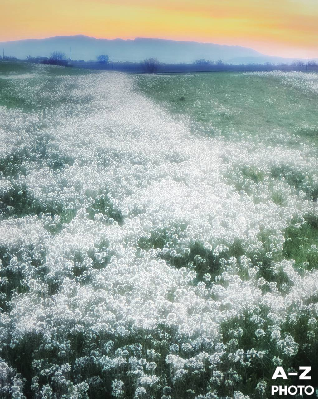 #ФОТОНЕДЕЛИ 16.03.2026. Женский семейный фотограф Тула Москва Захарова Анна