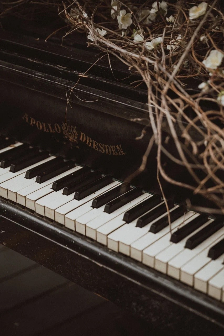 ТОП загородных фотостудии для фотосессий. Свадебный и семейный фотограф Москва и Московская область