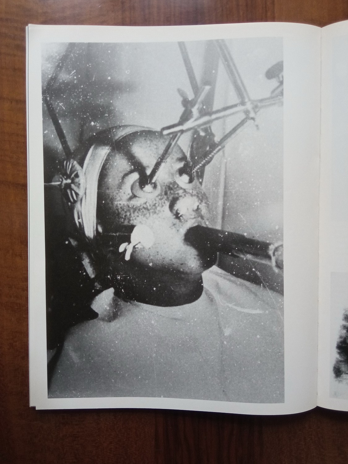 Проект «Worry for the fruit the birds won’t eat» Софи Габриэль. Private image