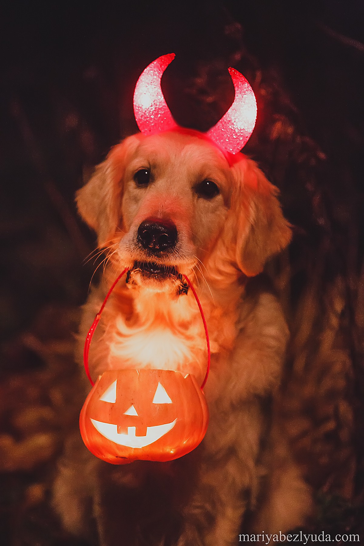 Семейный и детский фотограф в Москве Мария Быкова