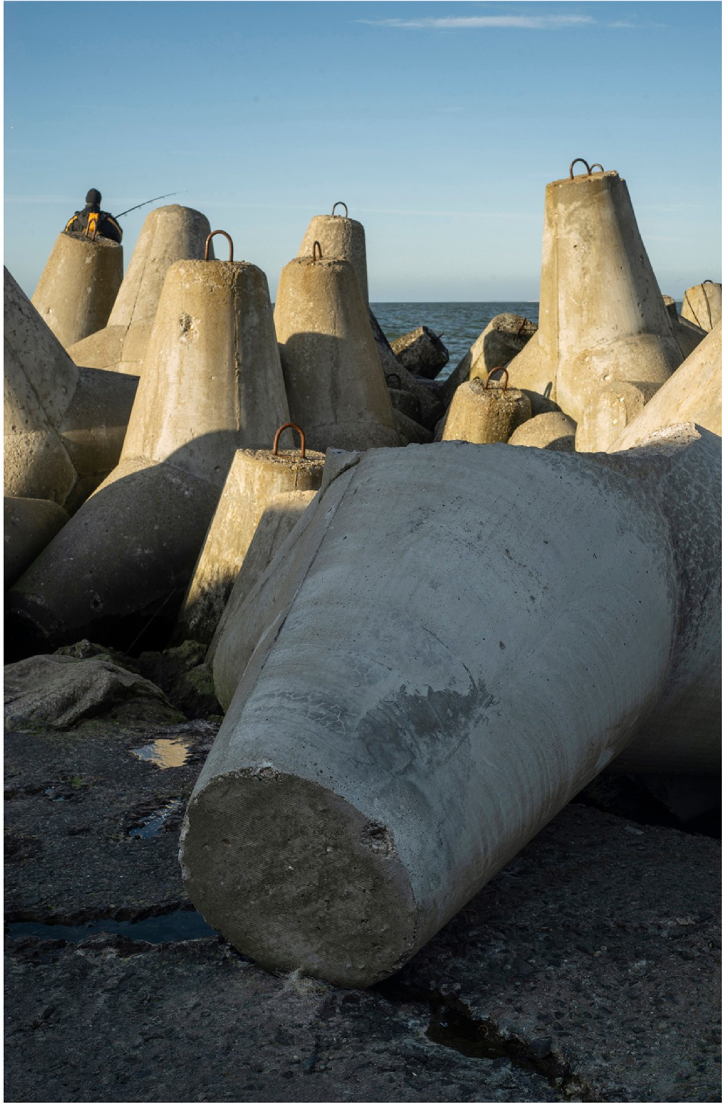 Blue border. Artist Denis Tikhomirov