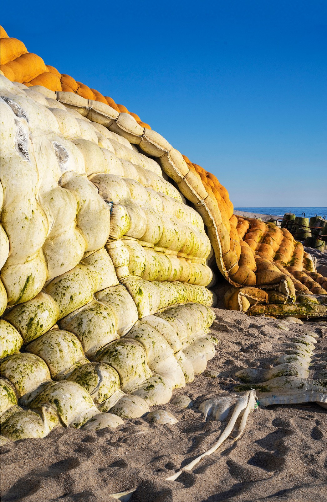 Blue border. Artist Denis Tikhomirov