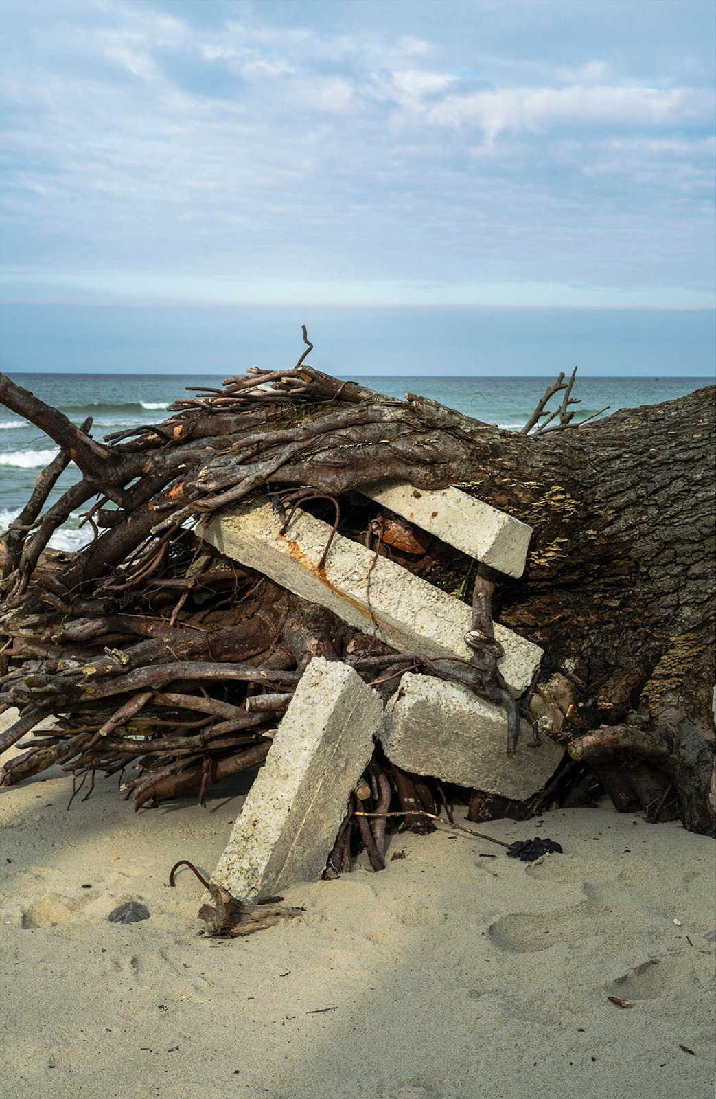 Blue border. Artist Denis Tikhomirov