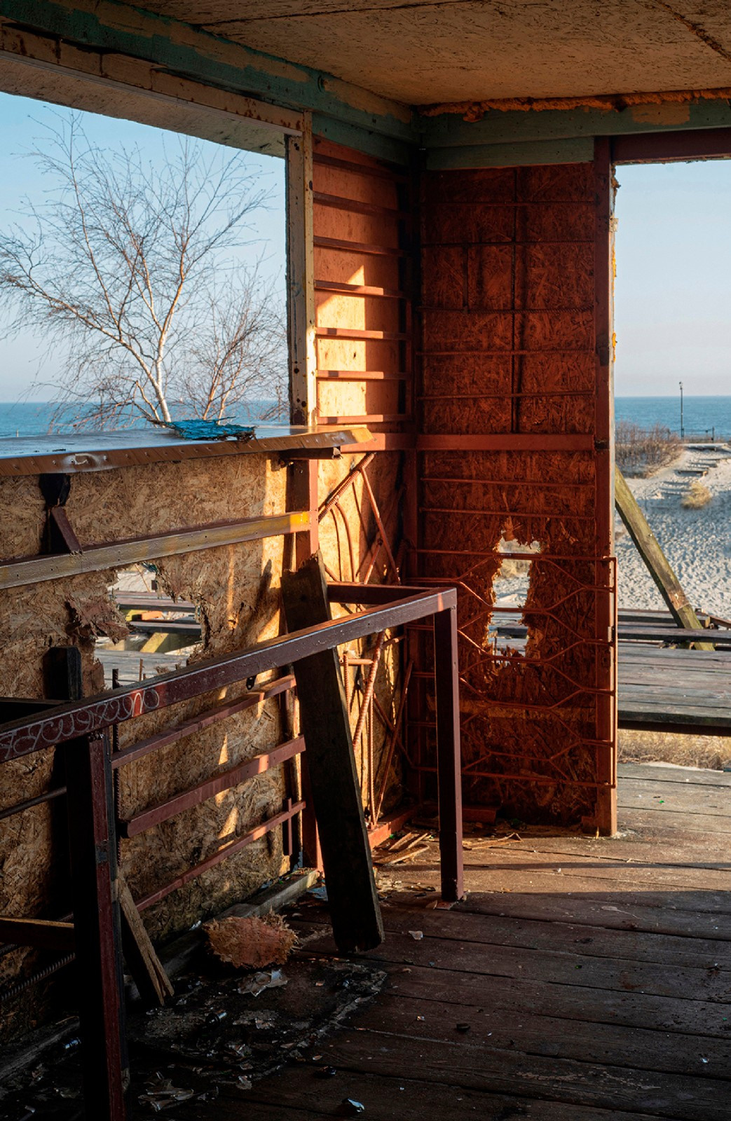 Blue border. Artist Denis Tikhomirov