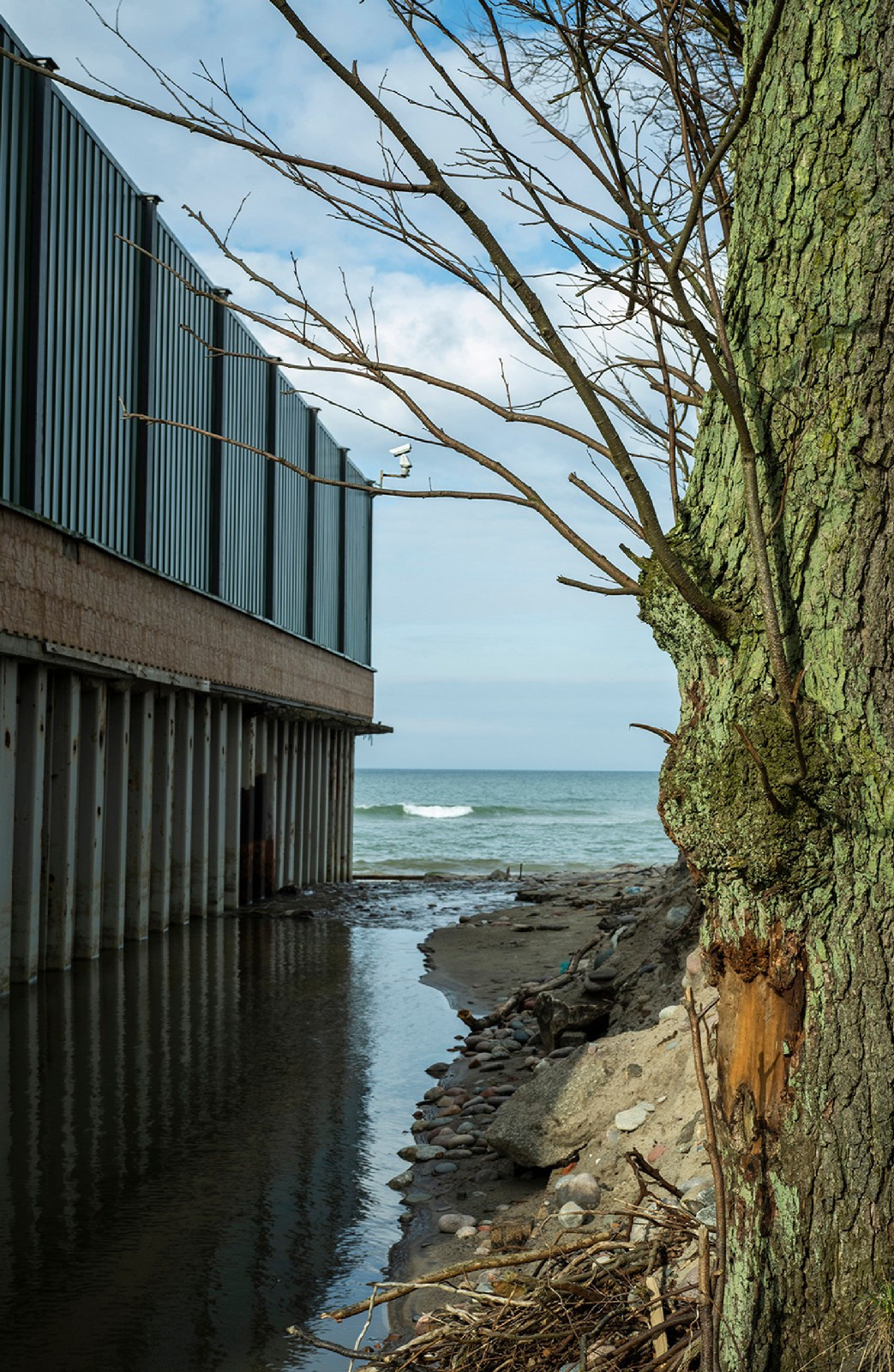 Blue border. Artist Denis Tikhomirov