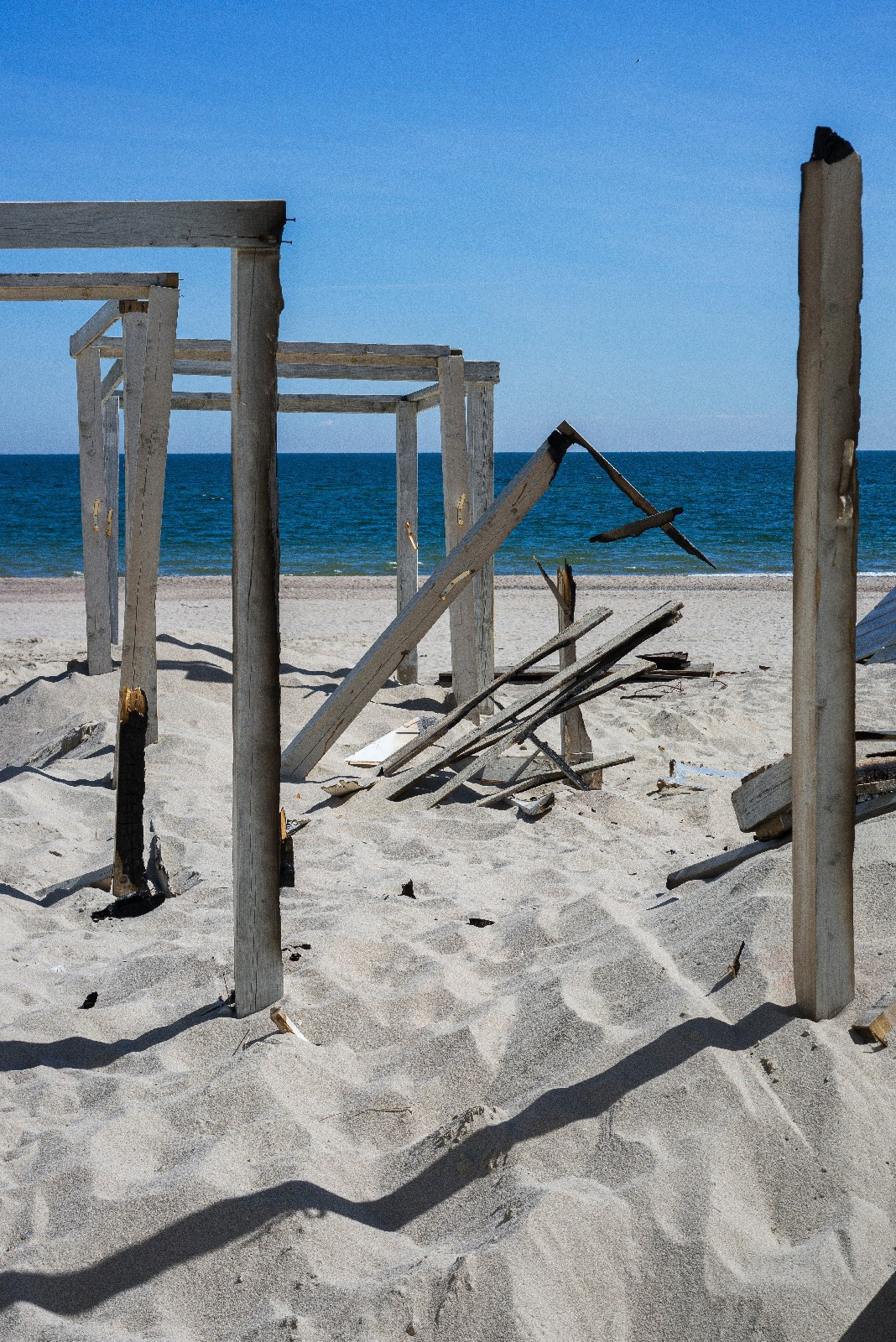 Blue border. Artist Denis Tikhomirov