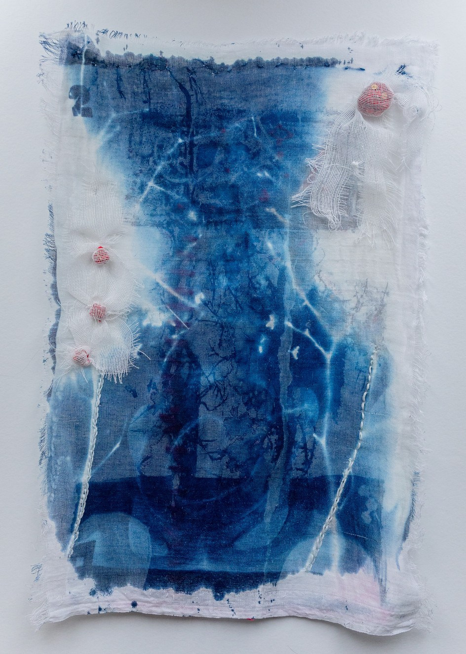 CYANOTYPE. CONTEMPORARY ARTIST OLGA ANDRIYASH