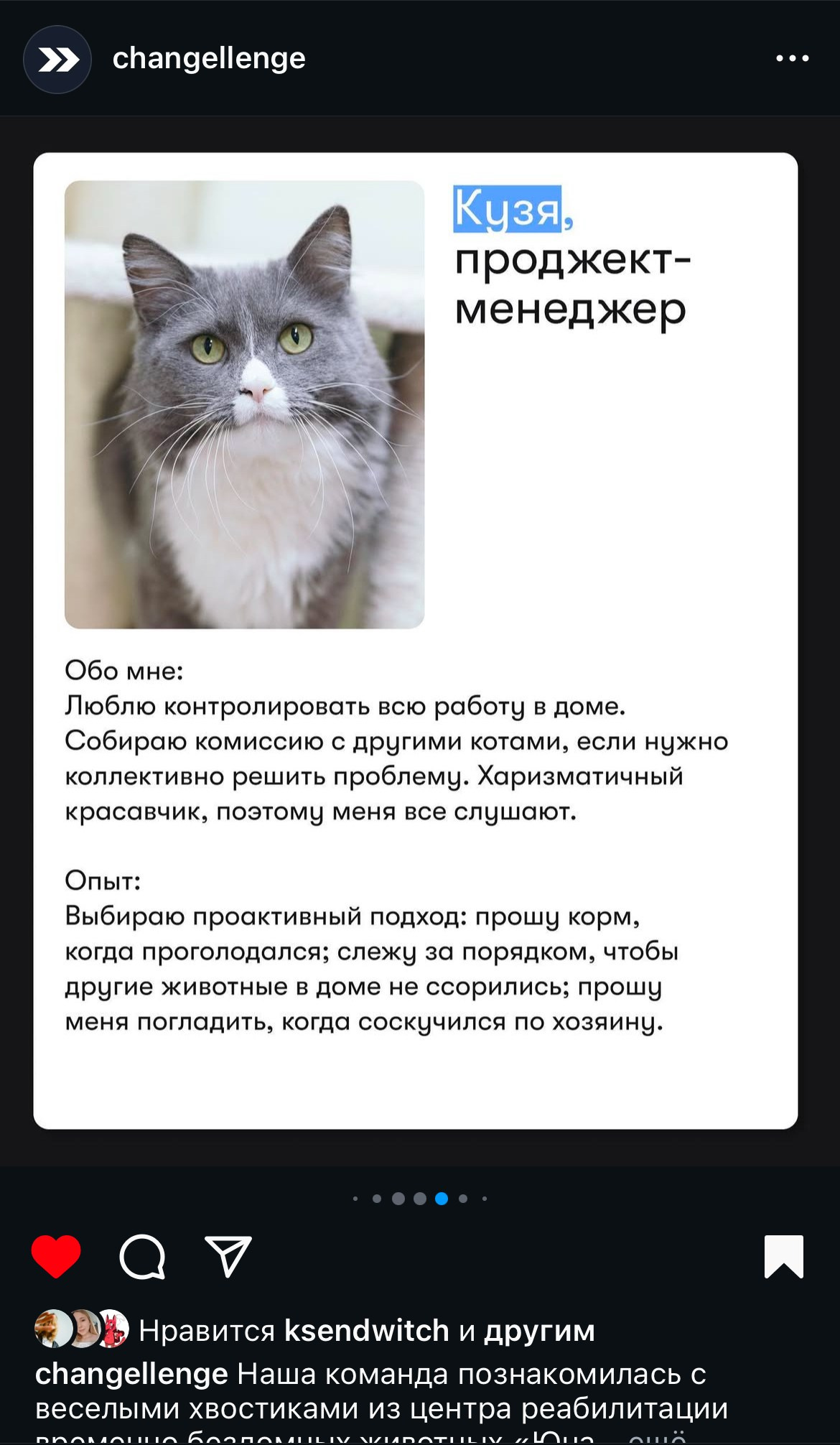 Бренды. Фотограф и коллажист Ольга Шереметьева