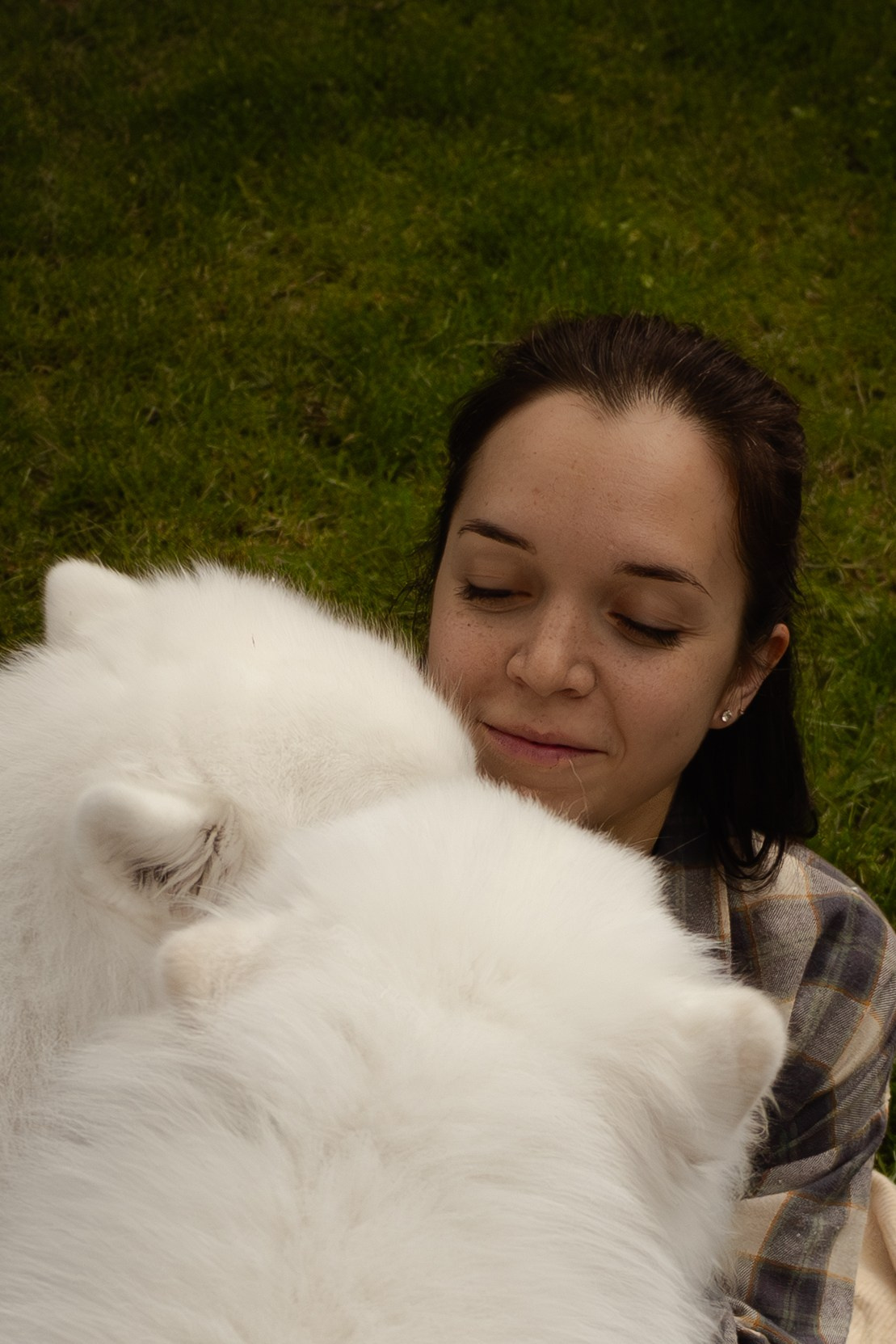 Любовь собаки к хозяину: фотоистория