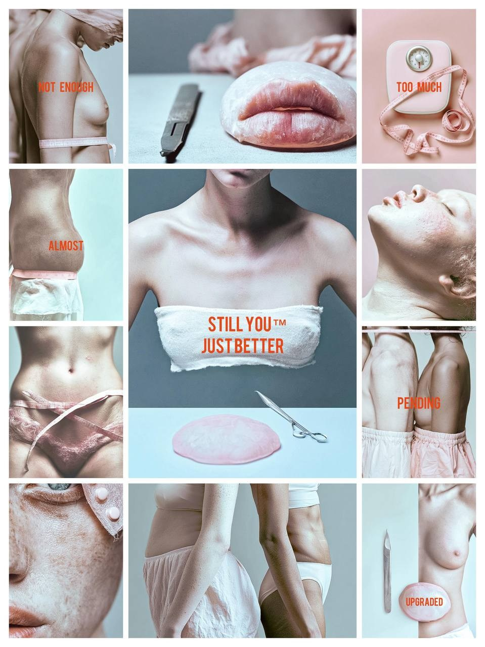 Mimicry. WAYS12