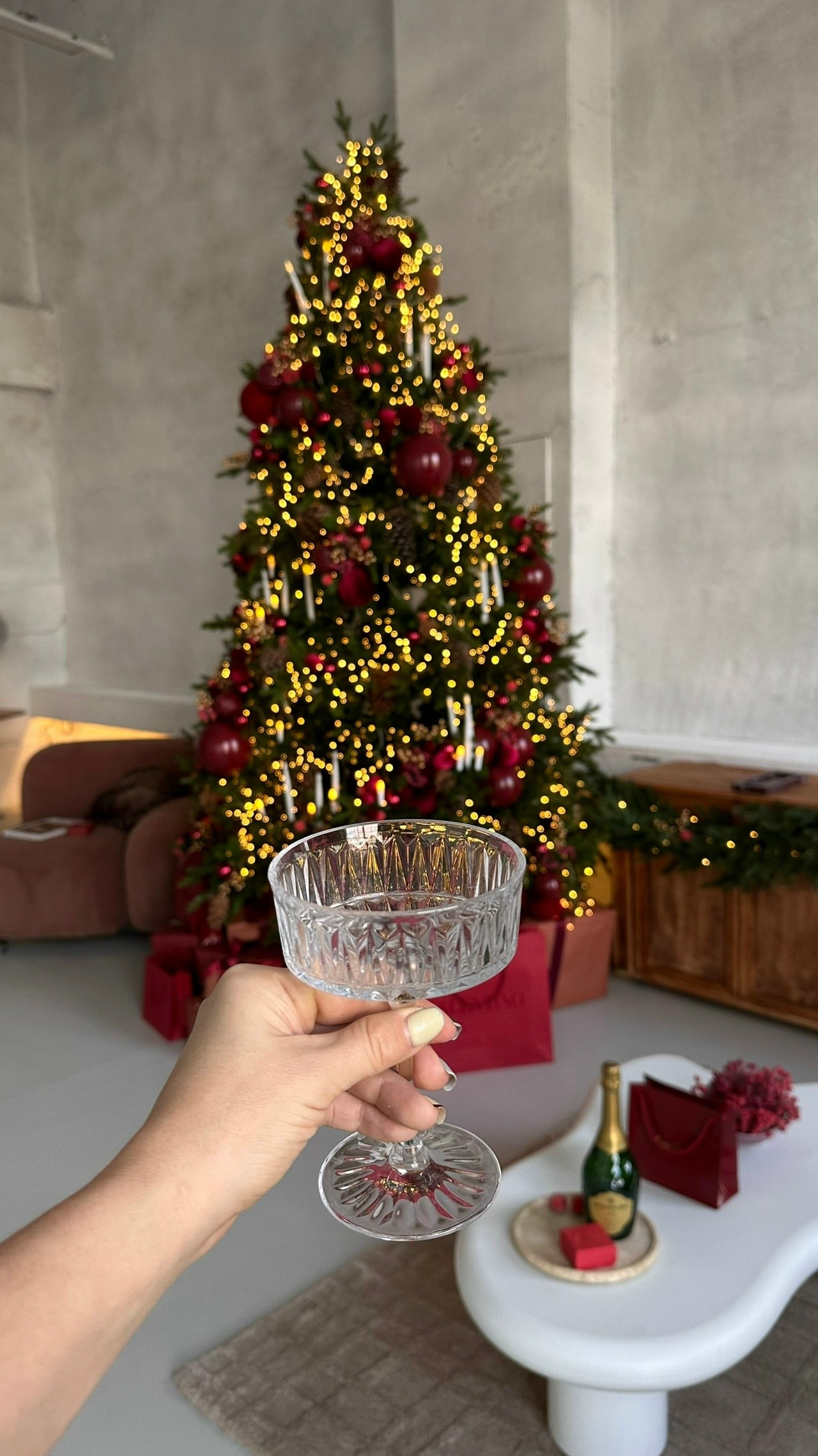 Новогодние залы. Семейный и женский фотограф в Воронеже Ольга Попова