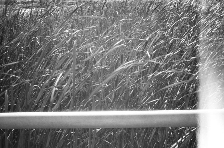 Let there be light. Maria Barakova