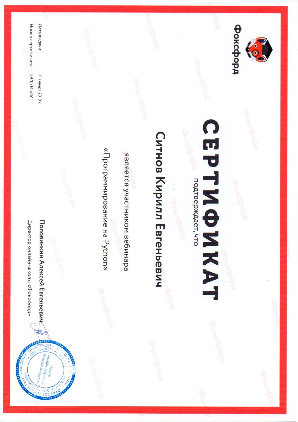 Награды и научная работа. RedGeek — фотограф, учитель и эксперт в образовании и IT Кирилл Ситнов