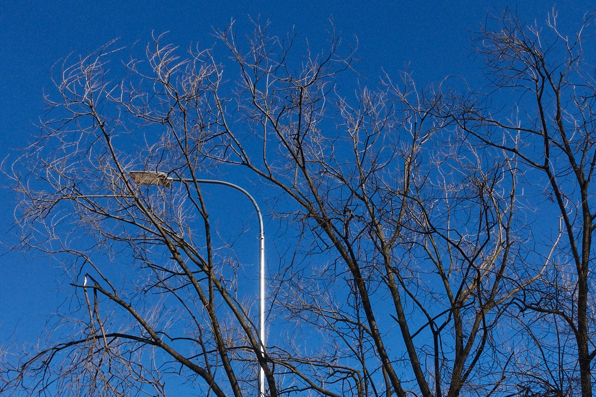 Дневной Сон. Иван Кобяков