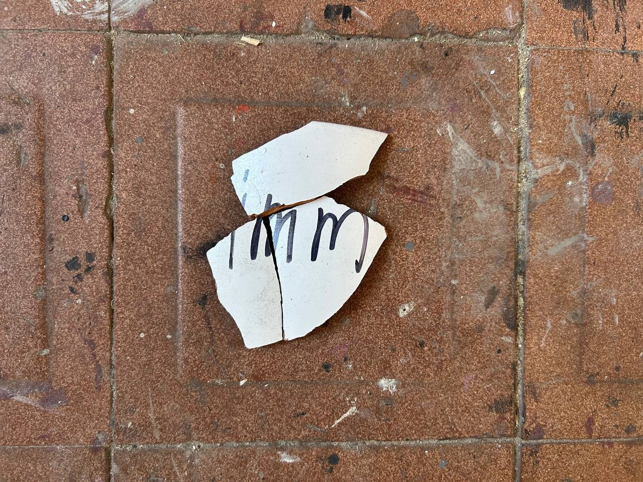 «Чуже Странцы». Лилия Ким. Междисциплинарный художник