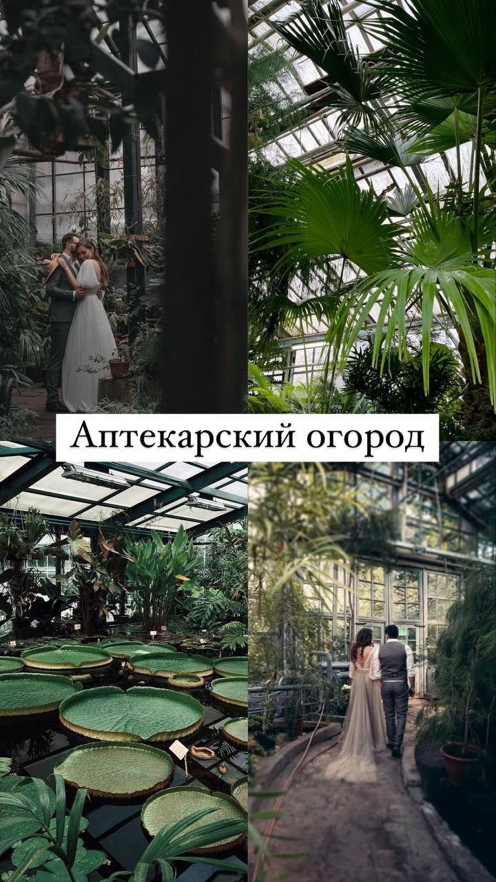 Локации для съемок в Москве. Фотограф НатаФото (Наталья Яковенко) Дмитров Москва Питер