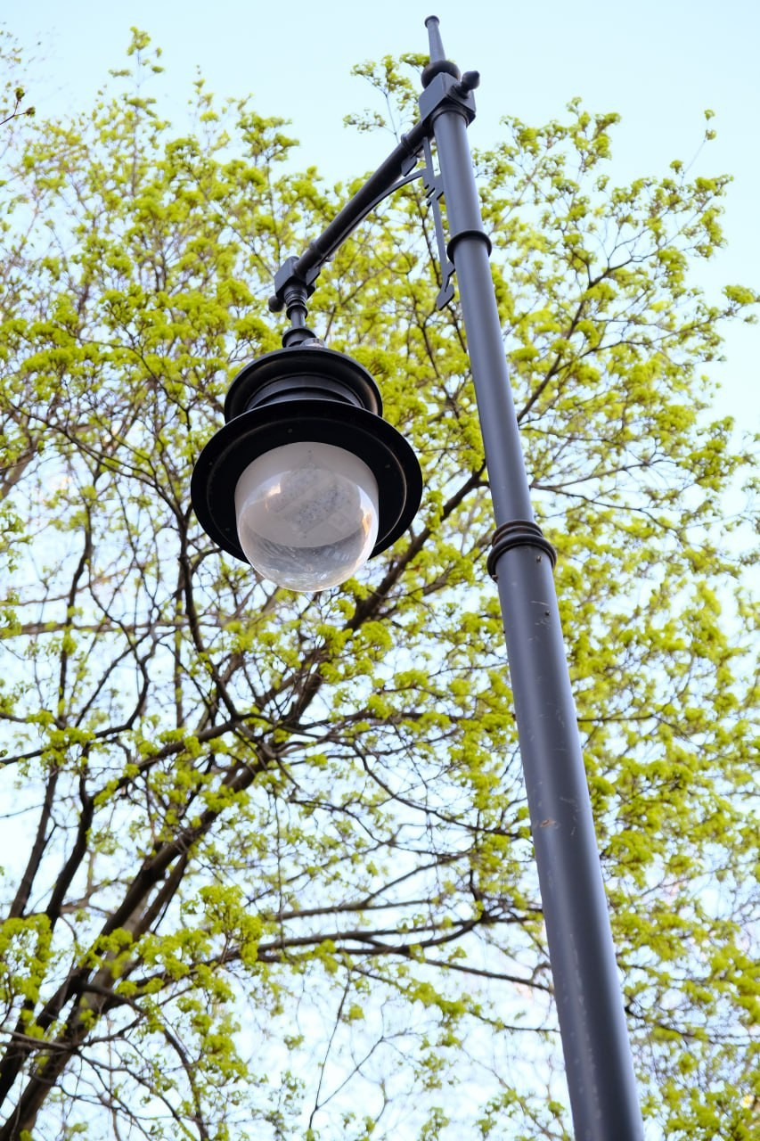 Фотопрогулка — Moscow FreeFlow. PHOTO COMMUNITY #SBERTEAM