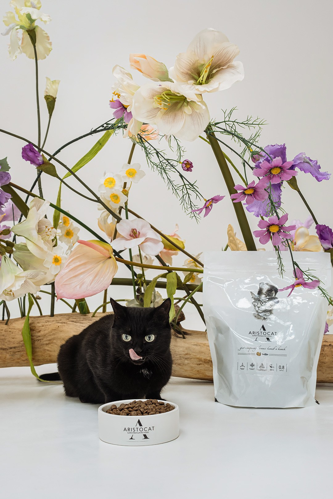 ARISTODOG. Фотограф и видеограф Анна Жагорина