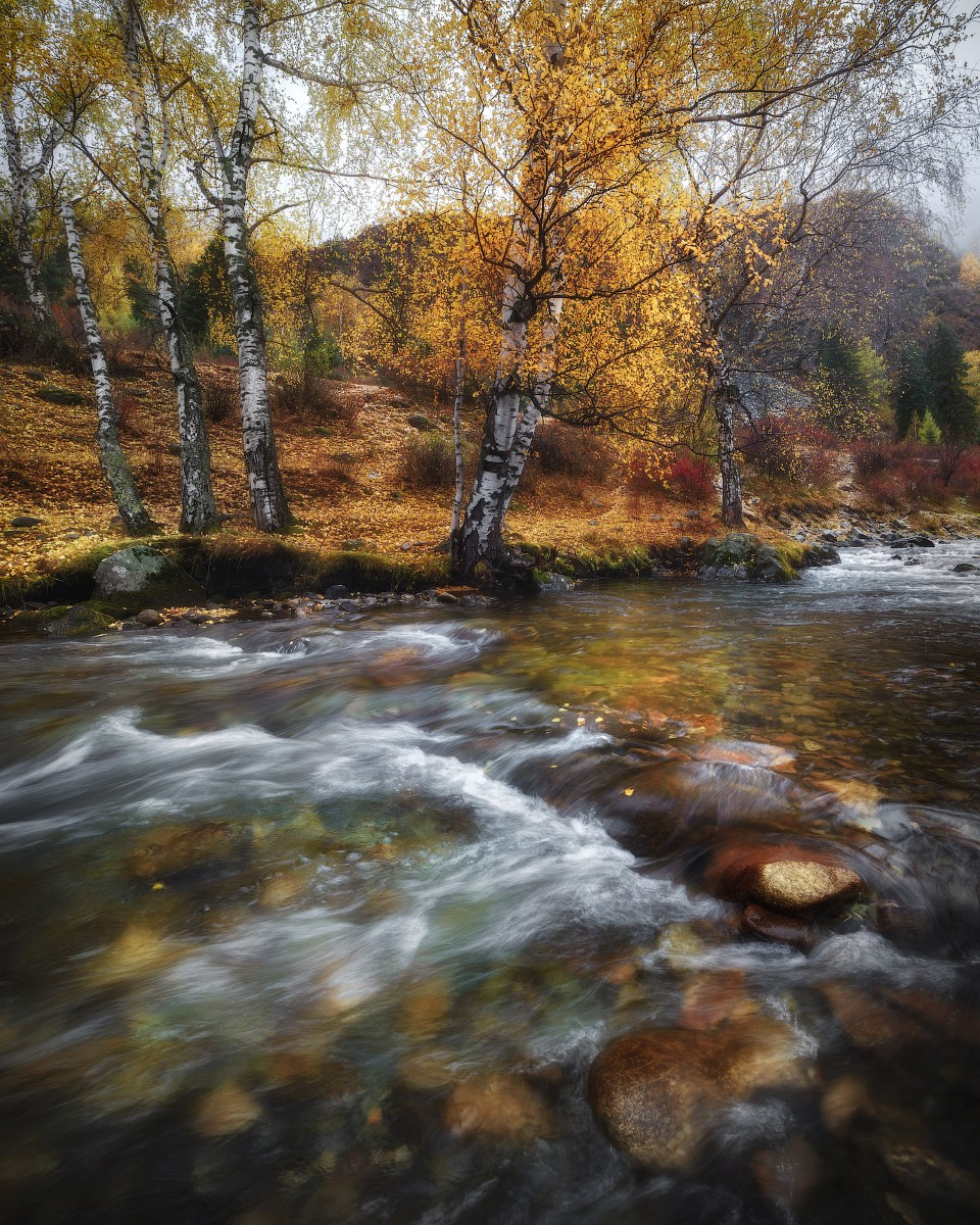 Октябрьская меланхолия. Река Большой Ильгумень, Онгудайский район, сентябрь 2021