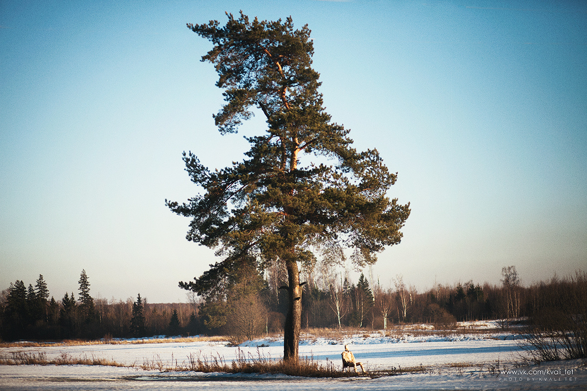 Jone Paper story. Свадебный и семейный фотограф в Москве и Лобне Евгений Пушкин