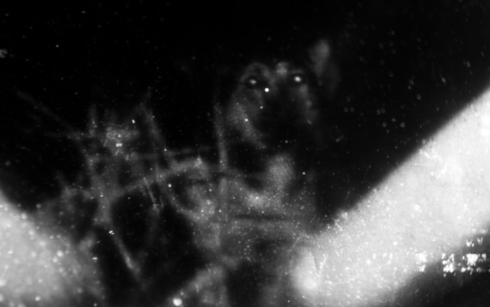 Archive ptoto projects. Янина болдырева Yanina Boldyreva