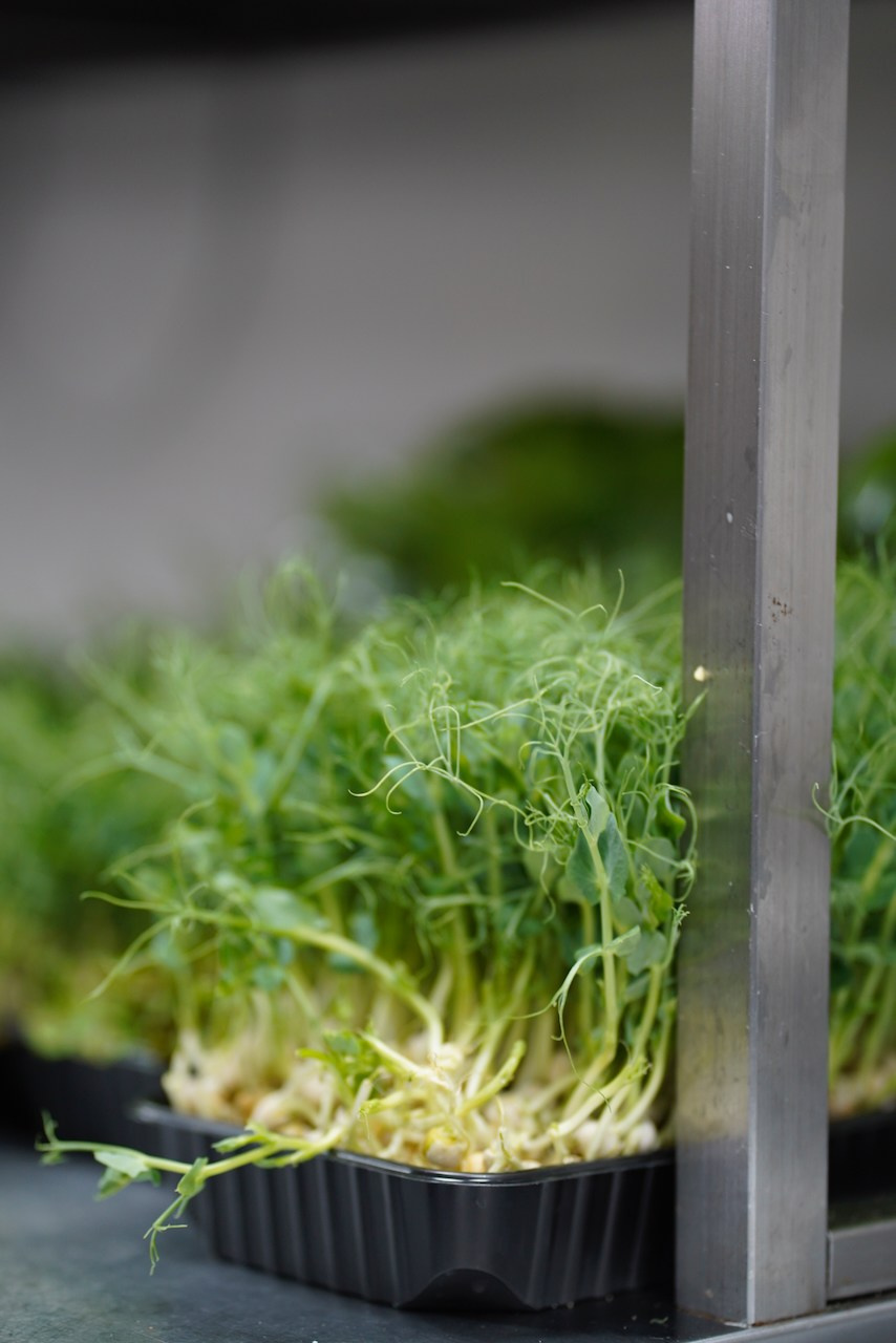 Оборудование для ресторанов. Ресурс Комлект Сервис