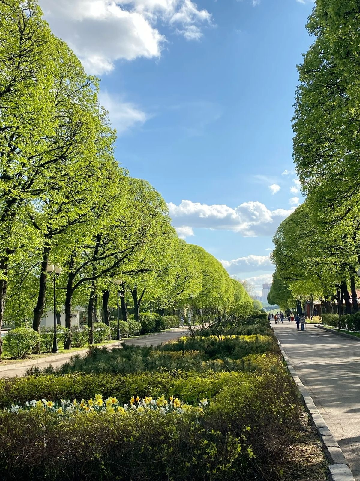 Локации для съемок в Москве. Фотограф НатаФото (Наталья Яковенко) Дмитров Москва Питер