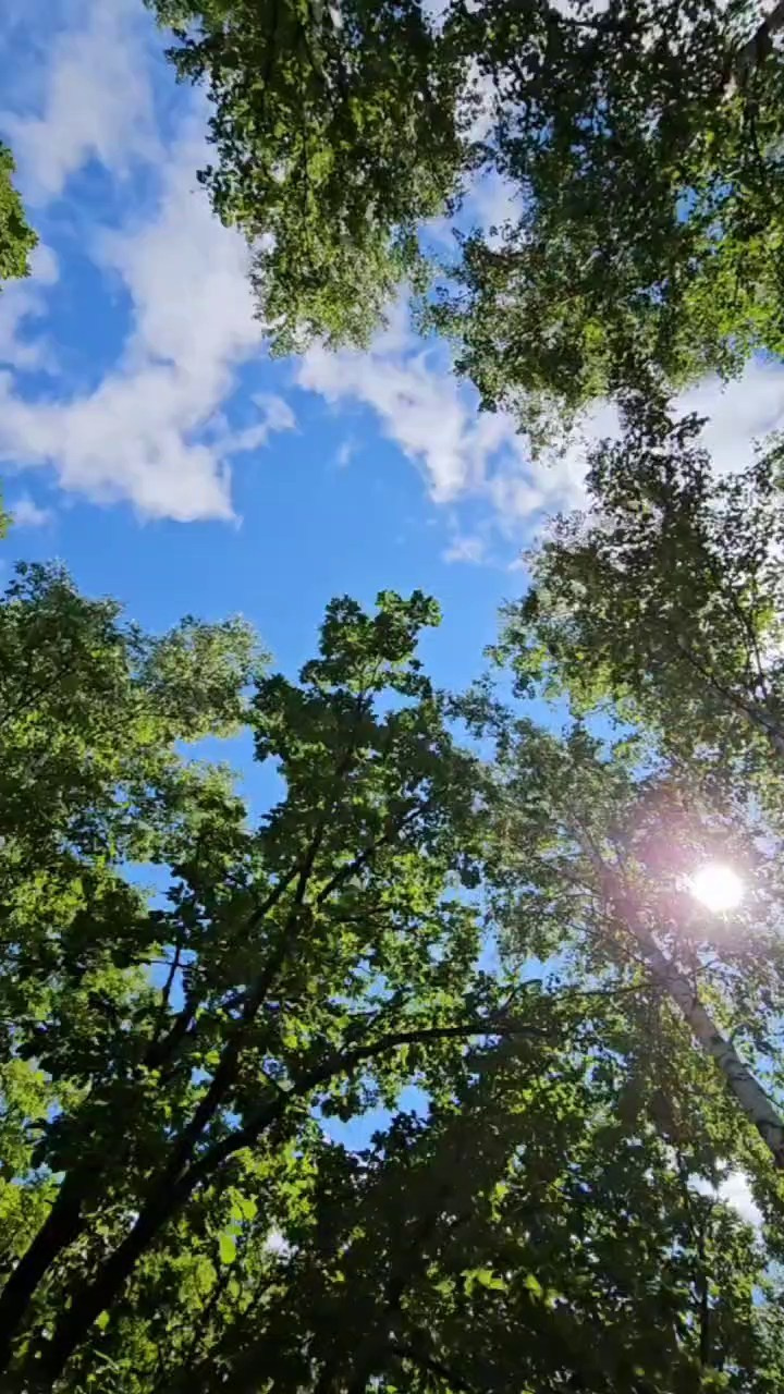 ВИДЕО для БИЗНЕСА. Фотограф Евгения Лондкевич