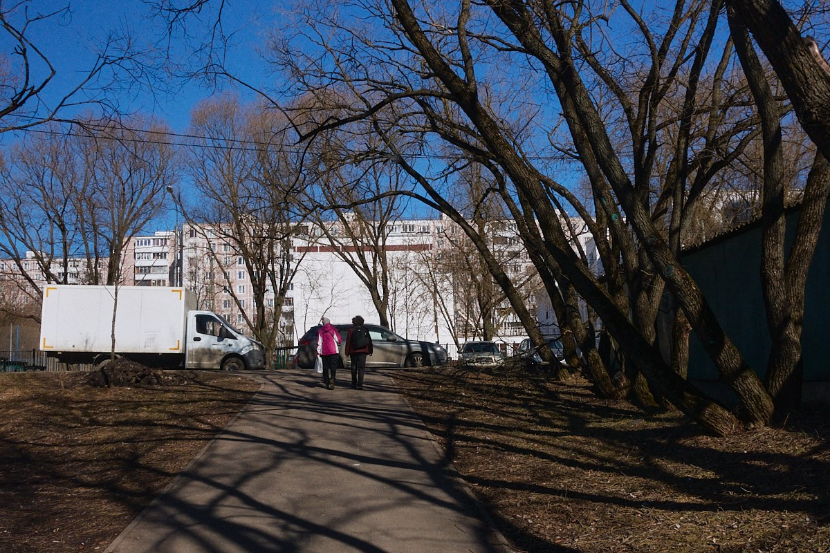 Дневной Сон. Иван Кобяков