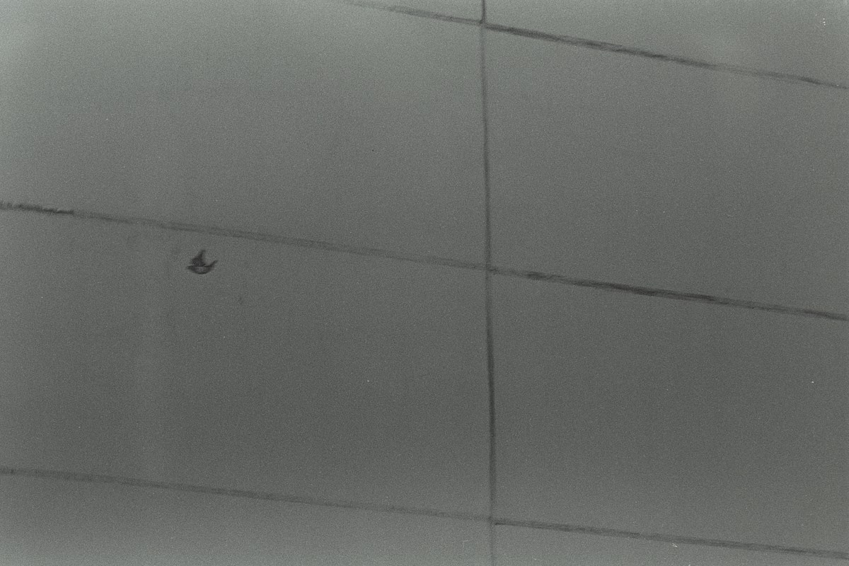 Несущественные детали. Иван Кобяков