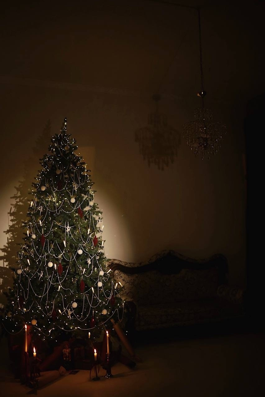 Новогодние залы в фотостудии. Свадебный и семейный фотограф в Твери и Тверской области