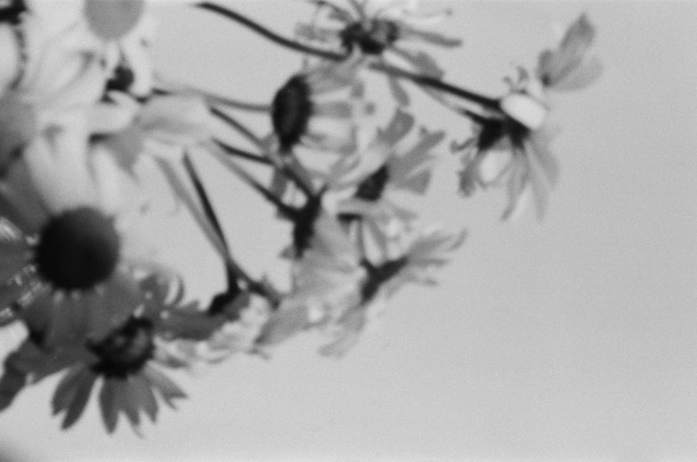 Let there be light. Maria Barakova