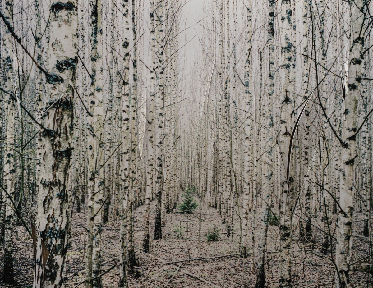 How to eat at night (ongoing). Photographer, Documentary and Art