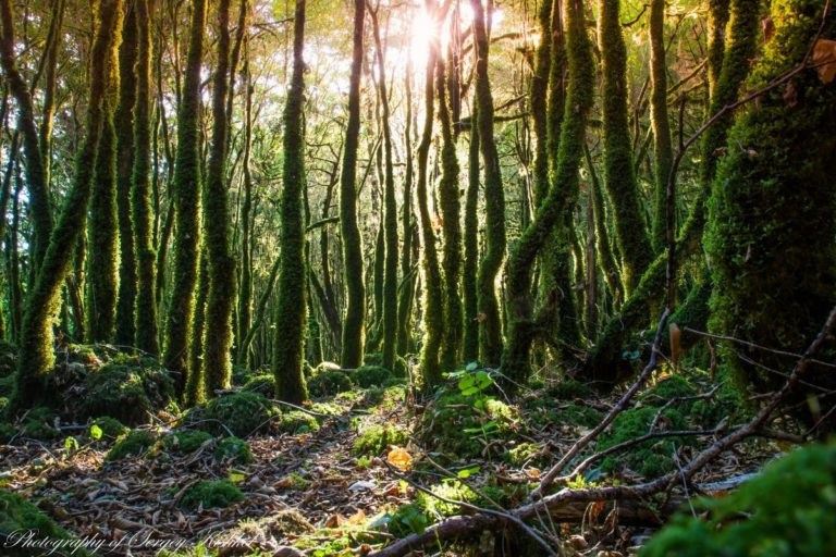 Обучающий фототур в Абхазию 20–25 февраля 2026. Детский и семейный фотограф Елена Михайлова в Москве