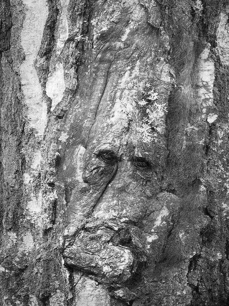 Projects. Landscape Photography by Aleksandr Leshchenok