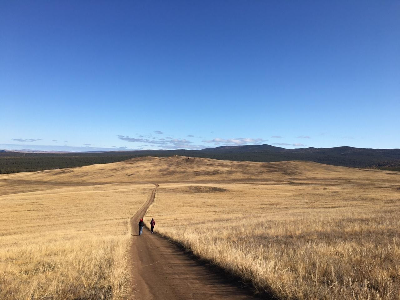 Творческая студия АЛНИфото