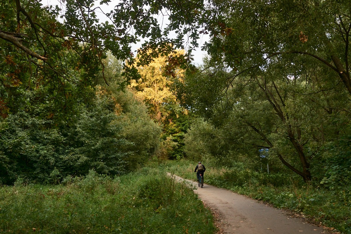 8-9/25. Иван Кобяков